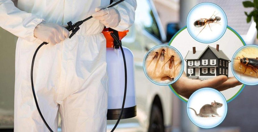 Hacıbektaş Böcek İlaçlama