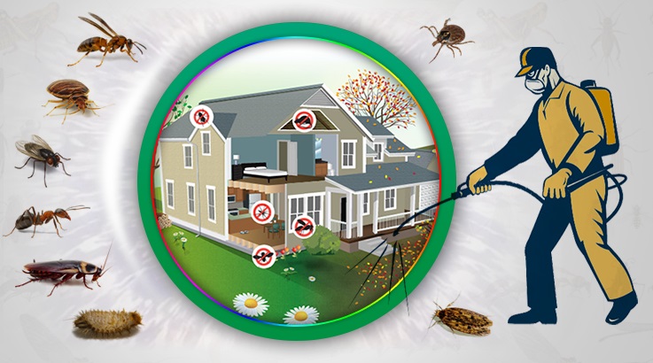 Hacıbektaş Böcek İlaçlama